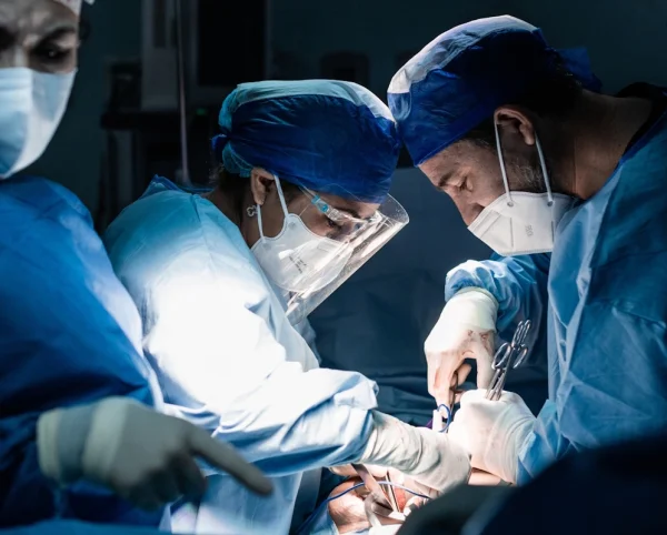 Plastik cərrahlar Plastik cərrahlar, bədənin hər hansı bir hissəsindəki funksional və ya estetik problemləri həll etmək üçün xüsusi təlim almış tibb mütəxəssisləridir